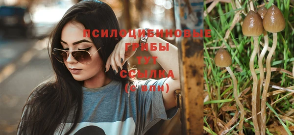 марки nbome Баксан