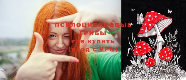 гидропоника Балахна