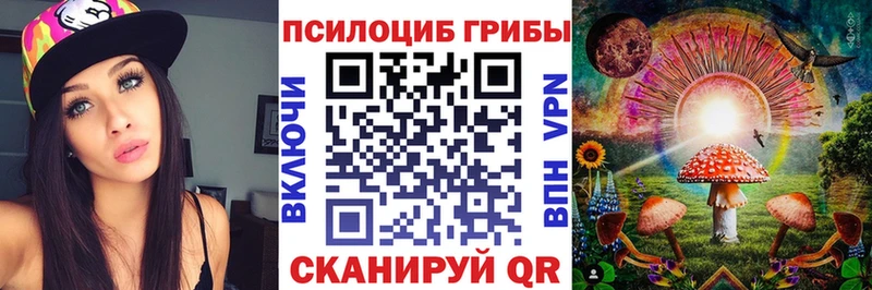 Галлюциногенные грибы Cubensis Нязепетровск